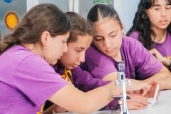 Sequence-01.00_02_50_41